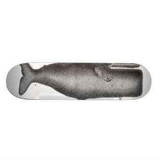 Skateboard Baleine vintage
