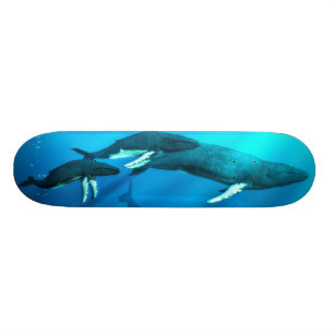 Skateboard Baleines de bosse
