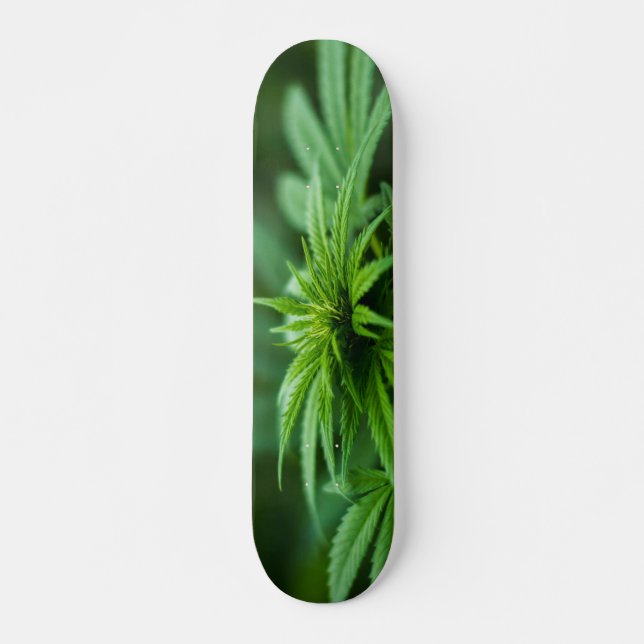 Skateboard Beau Plante de mauvaises herbes (Devant)