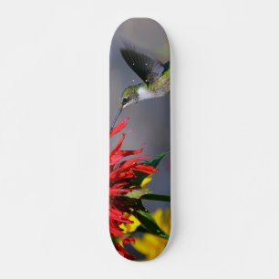 Skateboard Beauté des colibris