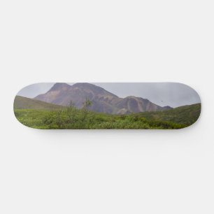 Skateboard Beauté Tourbillonnante sur Planche à Roulettes Den