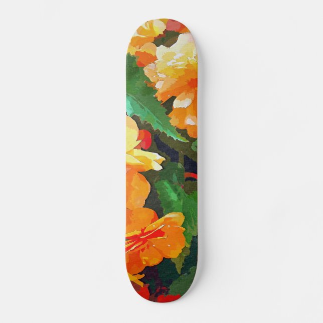 SKATEBOARD BEGONIAS (Recto)
