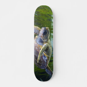 Skateboard Belle natation de tortue marine