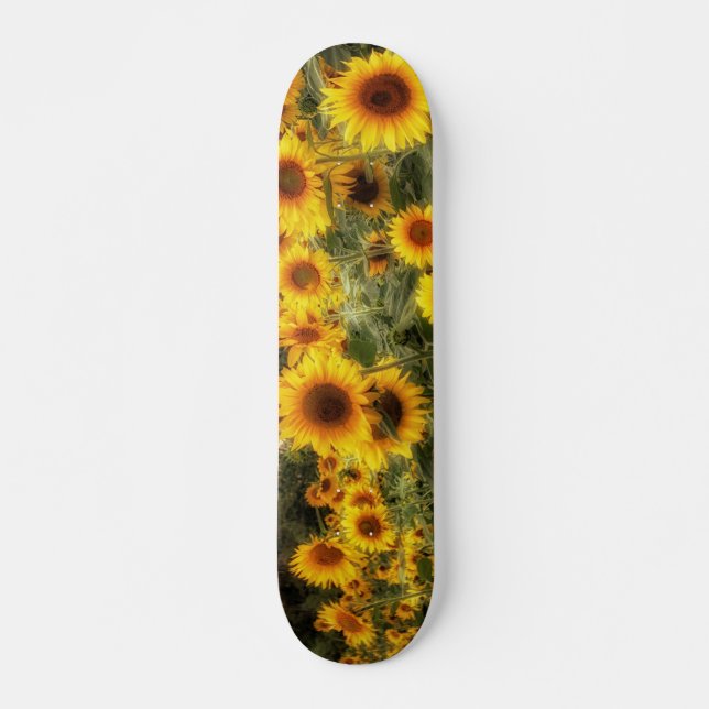 Skateboard Belle photo sur le terrain de tournesol (Devant)