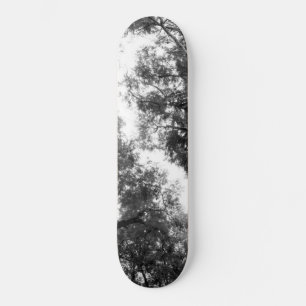 Skateboard Black & White Trees Dream #1 #wall #art 