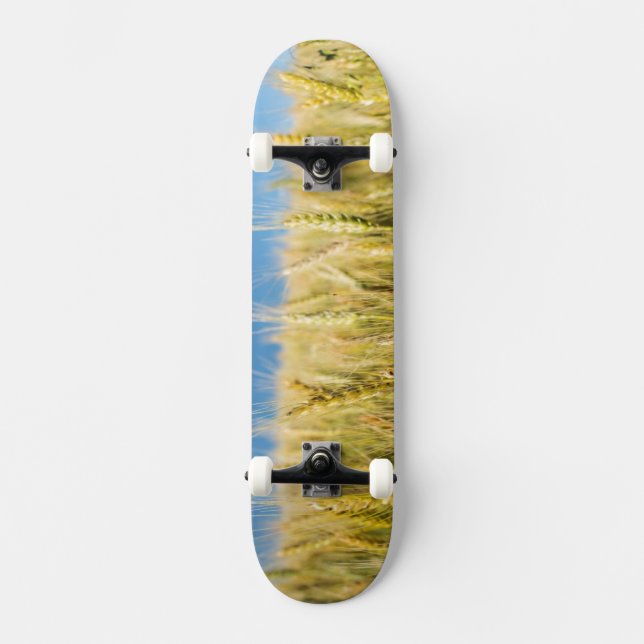 Skateboard Blé du Kansas (Recto)