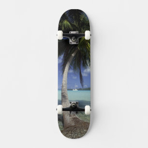 Skateboard Bora Bora, Polynésie française Mt Otemanu vu
