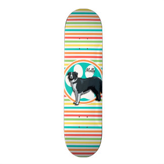 Skateboard Bordure Collie; Bright Rainbow Strips