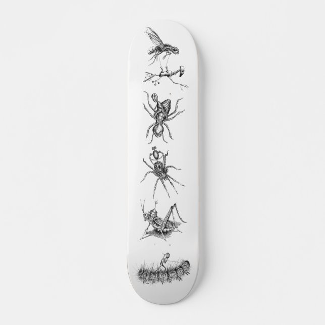 Skateboard Bots montant le collage d'insectes (Devant)
