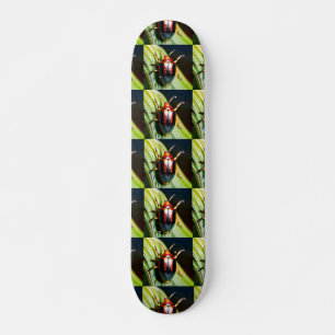 Skateboard Bouché