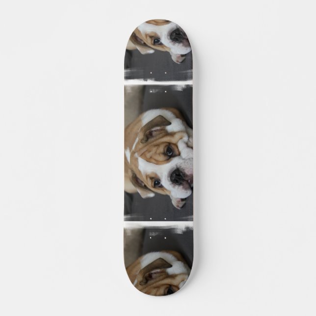 Skateboard Bouledogue Endormi (Devant)