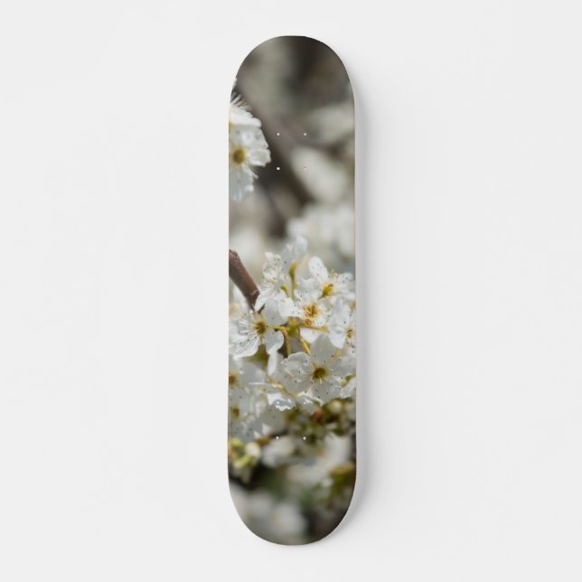 Skateboard Bradford Select Focus (Devant)