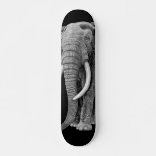 Skateboard Bull elephant