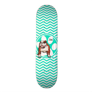 Skateboard Bulldog ; Aqua Green Chevron
