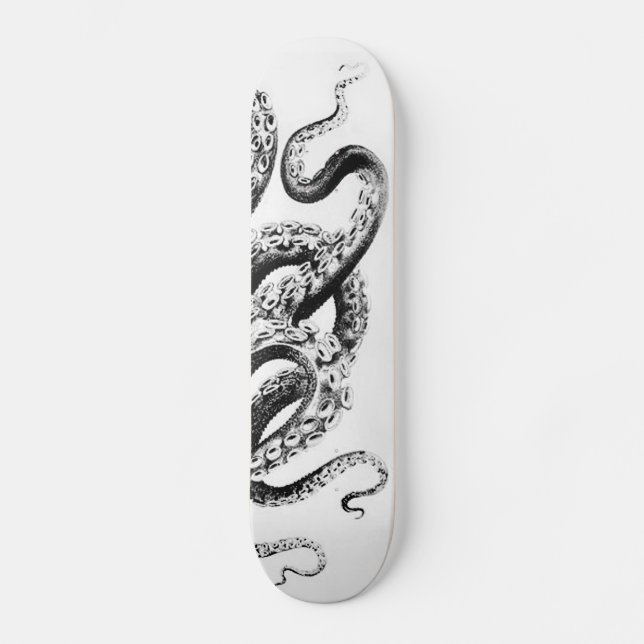 Skateboard Calmar (Recto)
