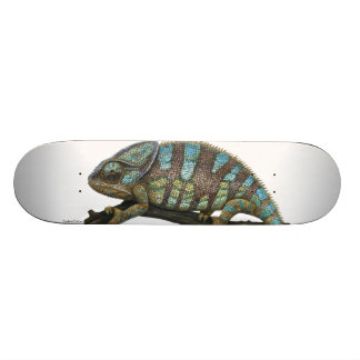 Skateboard Caméléon Skate