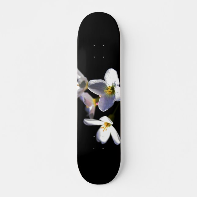 Skateboard Cardamine Pratensis Fleurs sdcna (Devant)