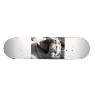 Skateboard Carlin de lézard