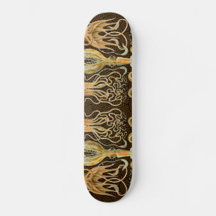 Skateboard Céphalopod poulpe Mer de calmar