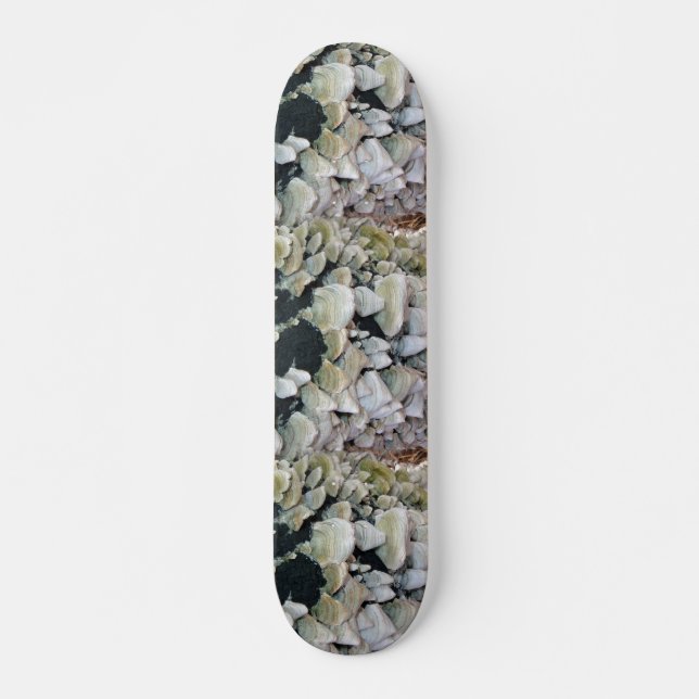 Skateboard Champignons sauvages (Devant)