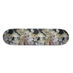 Skateboard Champignons sauvages