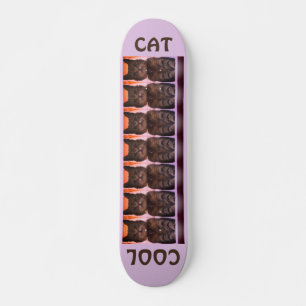 Skateboard Chat Cool Fille