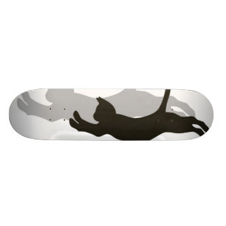 Skateboard Chat noir