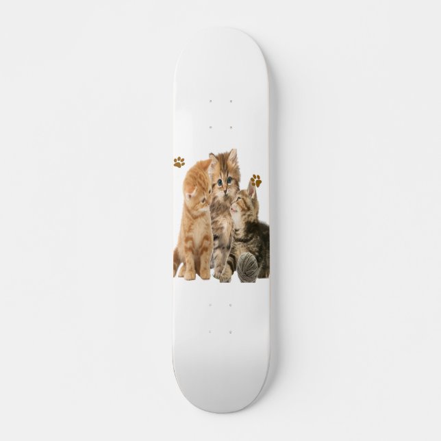 Skateboard Chats (Devant)