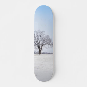 Skateboard Chêne d'hiver surligné