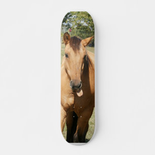 Skateboard cheval aleck intelligent