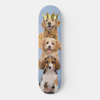 Skateboard Chien appy