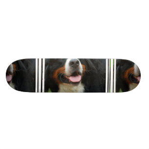 Skateboard Chien de montagne de Bernese de bébé