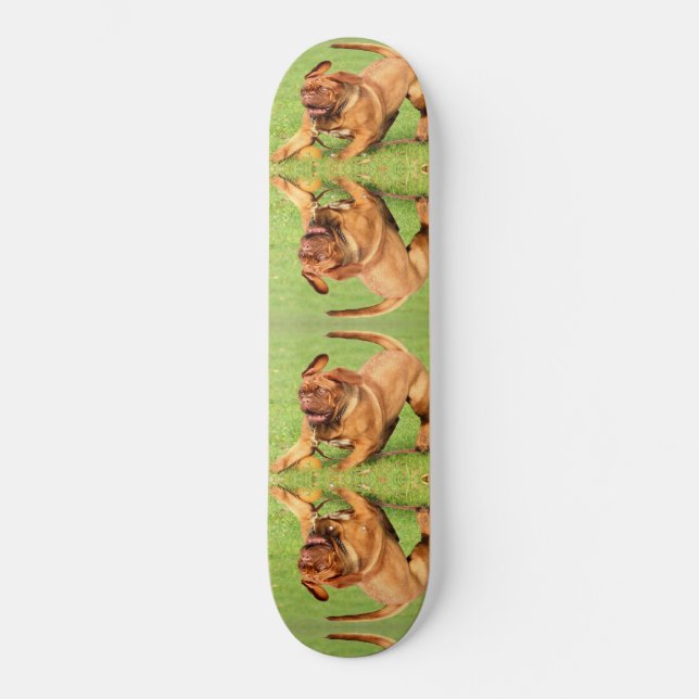 Skateboard Chien fou (Recto)