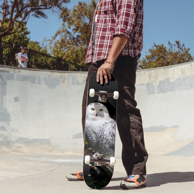 Skateboard Chouette hivernale majestueuse (Extérieur 2)