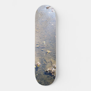 Skateboard Clear Water Creek Bas Maple Feuilles Nature Photo