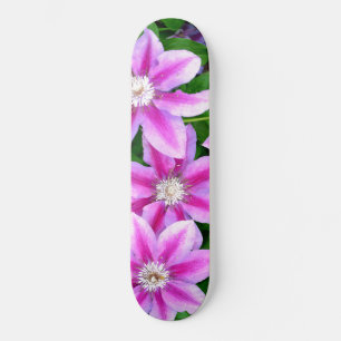 Skateboard Clematis, fleurs roses