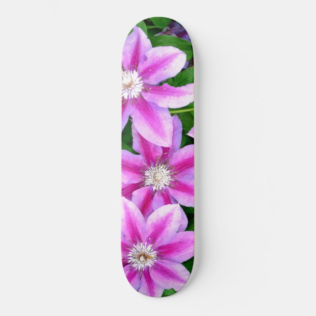 Skateboard Clematis, fleurs roses (Recto)