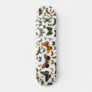 Skateboard Collage des papillons de nuit et des papillons de 