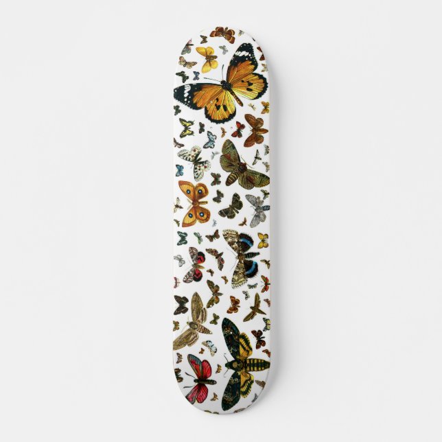 Skateboard Collage des papillons de nuit et des papillons de  (Devant)