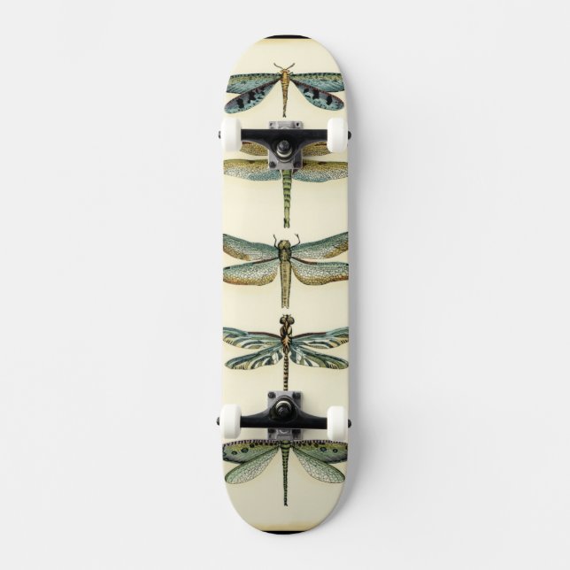 Skateboard Collection de libellules par Chariklia Zarris (Recto)