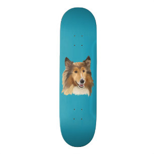 Skateboard Colley