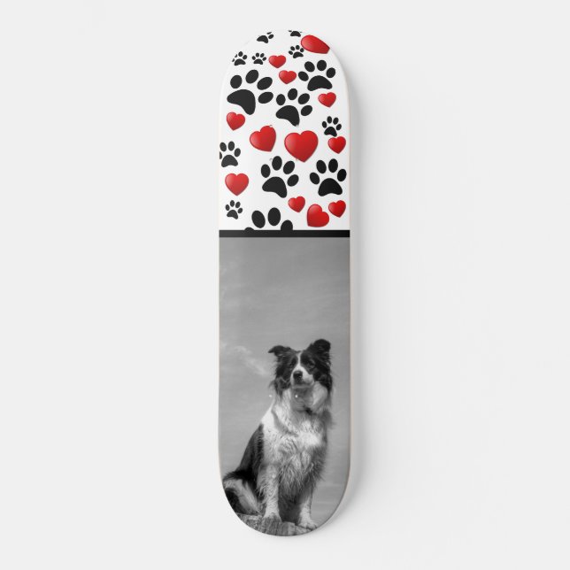 Skateboard Collie (Recto)