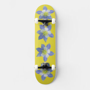 Skateboard Colonne 2