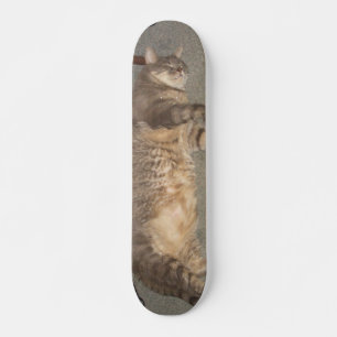 Skateboard Conseil de FatCat