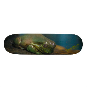 Skateboard Crapaud lapidé