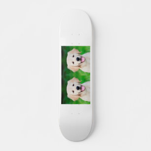 Skateboard Créez votre propre photo de chien animal de compag