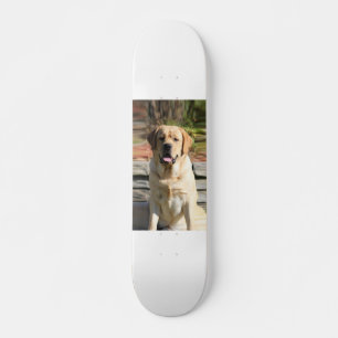 Skateboard Créez votre propre photo de chien pour animaux de