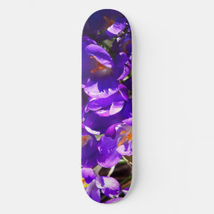 SKATEBOARD CROCUS DE PRINTEMPS