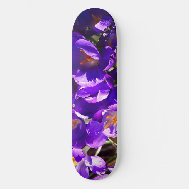 SKATEBOARD CROCUS DE PRINTEMPS (Recto)