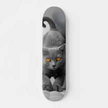 Skateboard Curioso gato británico de pelo corto